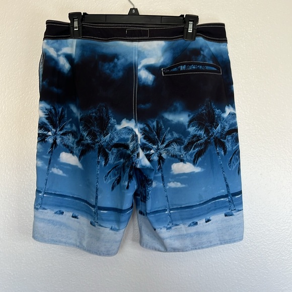 EUC American Eagle Outfitters Swim Trunks sz M - Picture 3 of 6